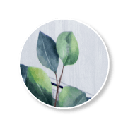 FoamBoard Direct Printing